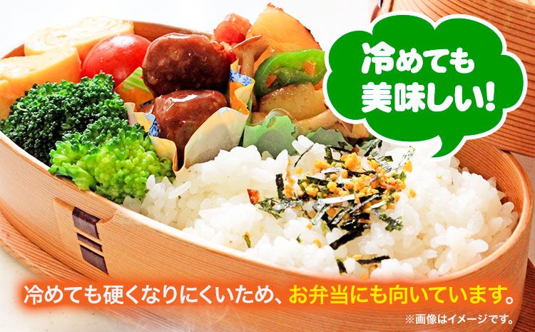 【1-2-363】【令和7年産先行受付】ファームふたば特別栽培米「おぼろづき」5kg 《10月中旬～（新米収穫出来次第、出荷）》産地直送 お取り寄せ 国産 北海道産 当別町産 お米 精米 白米 弁当 ごはん ご飯 コメ おかず おにぎり 単一原料米 ブランド米 お取り寄せ グルメ 朝食
