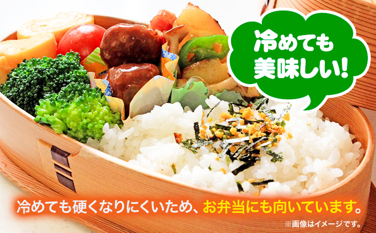 【2-4-63】【令和7年産先行受付】ファームふたば特別栽培米「おぼろづき」10kg《10月中旬～（新米収穫出来次第、出荷）》 産地直送 お取り寄せ 国産 北海道産 当別町産 お米 精米 白米 弁当 ごはん ご飯 コメ おかず おにぎり 単一原料米 ブランド米 お取り寄せ グルメ 朝食