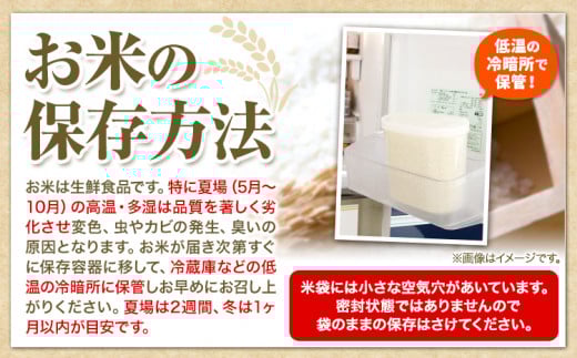 【2-3-49】令和6年度　当別産米食べ比べ10kg「ななつぼし・おぼろづき」
