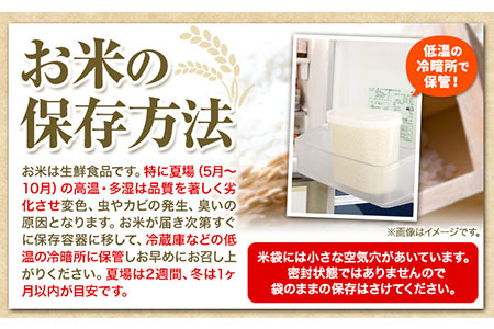 【1-2-360】令和6年度産 当別産米ななつぼし5kgお米 米 白米 精米 備蓄米 北海道産 当別町産 定番 産地直送 ふっくら ご飯 こめ 農家直送5kg ななつぼし ななつほし 瀬戸商店 ブランド米 特Aランク