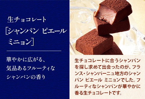 【1.38-211】ROYCE'生チョコレート入りバラエティセット | ロイズ 生チョコ チョコ チョコレート スイーツ お菓子 おかし ギフト 詰め合わせ お取り寄せ 北海道 土産 定番 送料無料