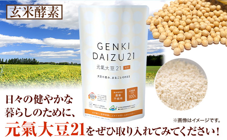 【1-4-166】元氣大豆21（粉末）