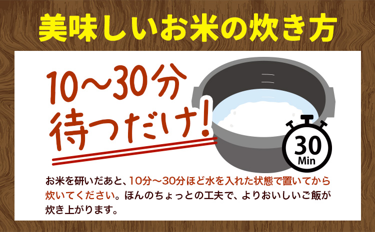 【1.4-361】【令和7年産】【先行予約】野口農園 ななつぼし 5kg お米 北海道産 産地直送 ブランド米 ななつぼし 野口農園 《10月末～（新米収穫出来次第、出荷）》国産 精米 白米 米