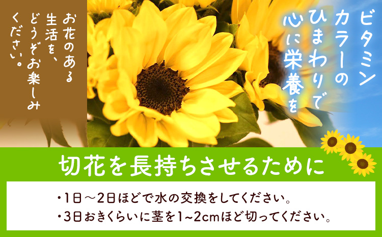 【1.5-283】ひまわり 切花 30本 黄色 オレンジ 四季農場《6月上旬-10月中旬頃出荷》北海道 当別町 花 お花 はな ひまわり 夏 切り花 冷蔵便 北海道産 当別町産 インテリア