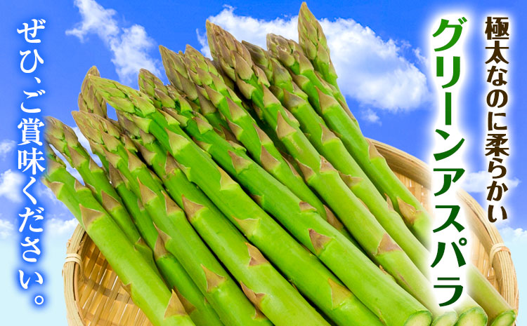 【1-6-69】【2026年先行】とれたて極太グリーンアスパラ1kg
