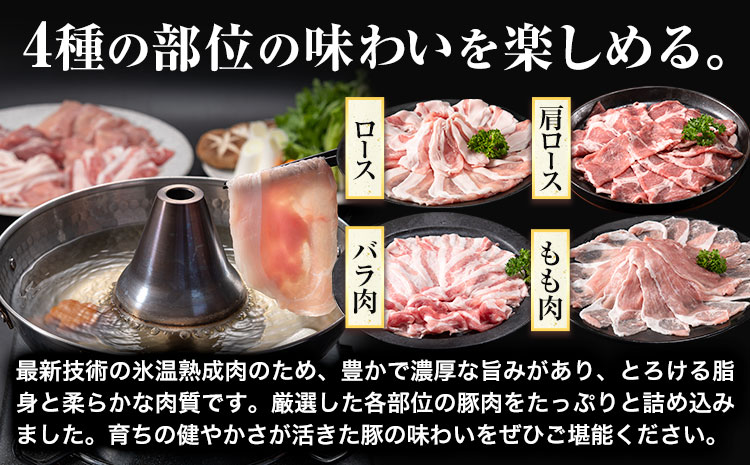 【7.2-313】浅野農場厳選しゃぶしゃぶセット 肉 スマイル ポーク 豚肉セット 合計 9kg (1.5kg×6回) 6ヶ月定期便 豚肉 豚肉しゃぶしゃぶ 豚しゃぶ 国産豚肉 厳選豚肉 肩ロース バラ モモ しゃぶしゃぶ 食べ比べ ギフト