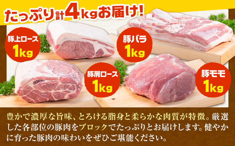 【6-9-316】浅野農場厳選豚肉ブロック食べ比べセット 3ヶ月定期便 豚肉 豚肉ブロック 豚肉食べ比べ 豚ロース 豚バラ 豚モモ