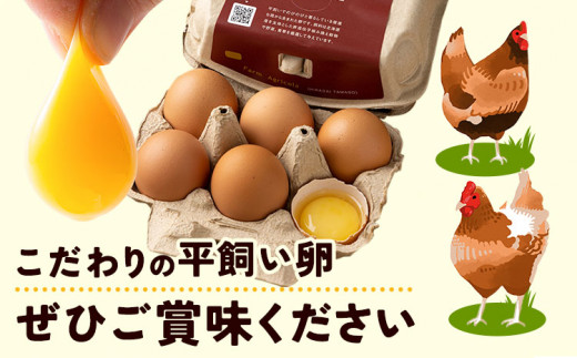 【1-23-38】こだわりの平飼いたまご食べ比べセット