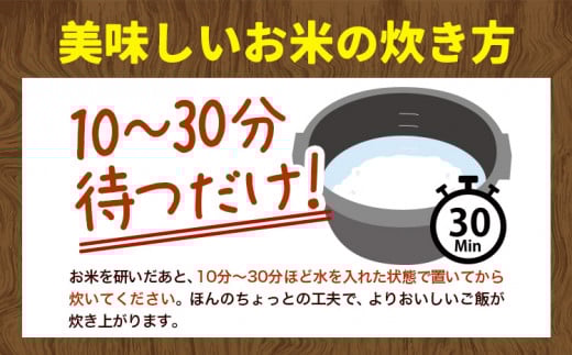 【2-6-48】【令和7年産先行予約】野口農園お米セット10kg「ななつぼし・おぼろづき」