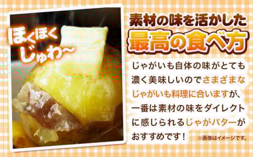 【1-3-79】【2025年先行予約】森本農園じゃがいも15kgセット