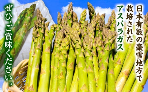 【1-2-70】とれたてグリーンアスパラLサイズ1kg【2026年先行受付】
