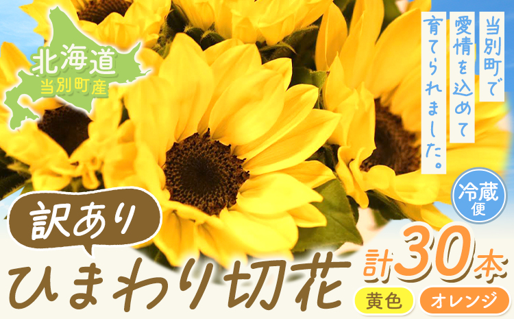 【1-284】【訳あり】ひまわり 切花 30本 黄色 オレンジ 四季農場《6月上旬-10月中旬頃出荷》北海道 当別町 花 お花 はな ひまわり 夏 切り花 冷蔵便 北海道産 当別町産 インテリア