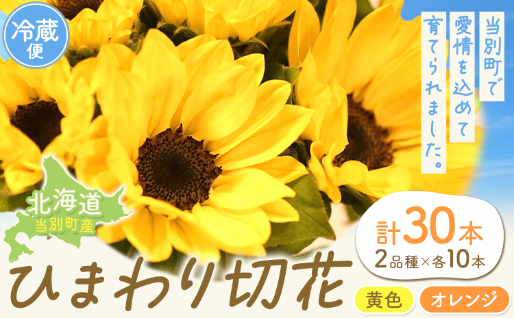 【1.5-283】ひまわり 切花 30本 黄色 オレンジ 四季農場《6月上旬-10月中旬頃出荷》北海道 当別町 花 お花 はな ひまわり 夏 切り花 冷蔵便 北海道産 当別町産 インテリア