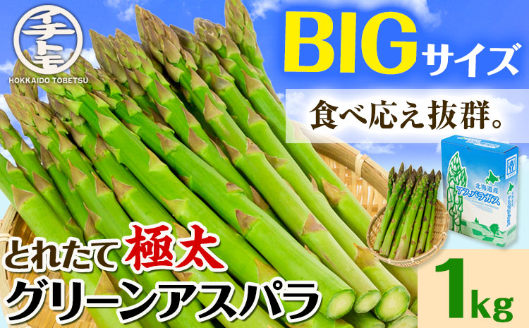 【1-6-69】【2026年先行】とれたて極太グリーンアスパラ1kg