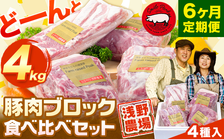 【13-8-317】浅野農場厳選豚肉ブロック食べ比べセット 6ヶ月定期便 豚肉 豚肉ブロック 豚肉食べ比べ 豚ロース 豚バラ 豚モモ