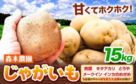 【1-3-79】【2025年先行予約】森本農園じゃがいも15kgセット