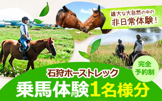 【4-45-177】石狩ホーストレック　体験乗馬