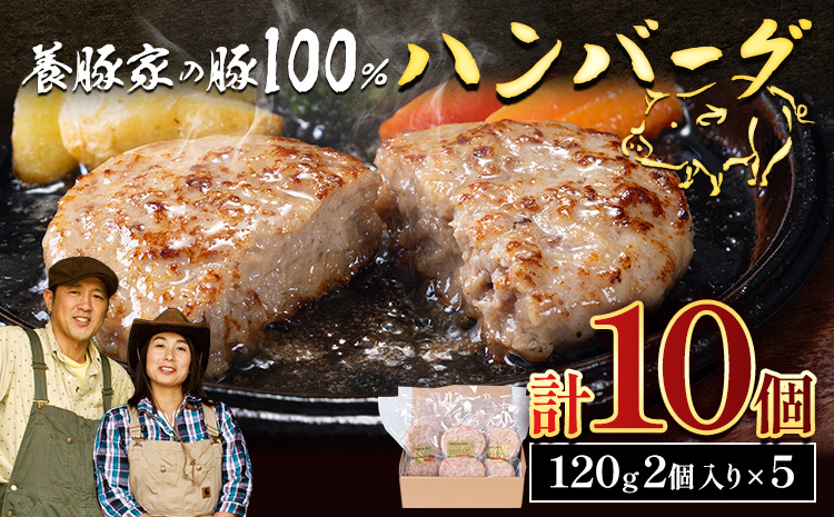 [0.95-307] 養豚家の豚100%ハンバーグセット 120g2枚入りパック×5セット計10枚 豚肉 肉 厳選 国産 お取り寄せ グルメ おかず おすすめ スマイル ポーク 加工品 惣菜 簡単 冷凍 キャンプ BBQ