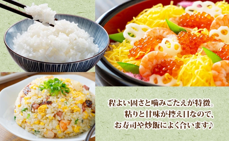 北海道 定期便 12ヵ月 連続 全12回 R7年産 北海道産 ななつぼし 5kg 精米 米 白米 ごはん お米 新米 特A 獲得 ライス 北海道米 ブランド米 道産 ご飯 お取り寄せ 1年 食味ランキング まとめ買い 新しのつ米 令和7年産 常温 自家用 送料無料