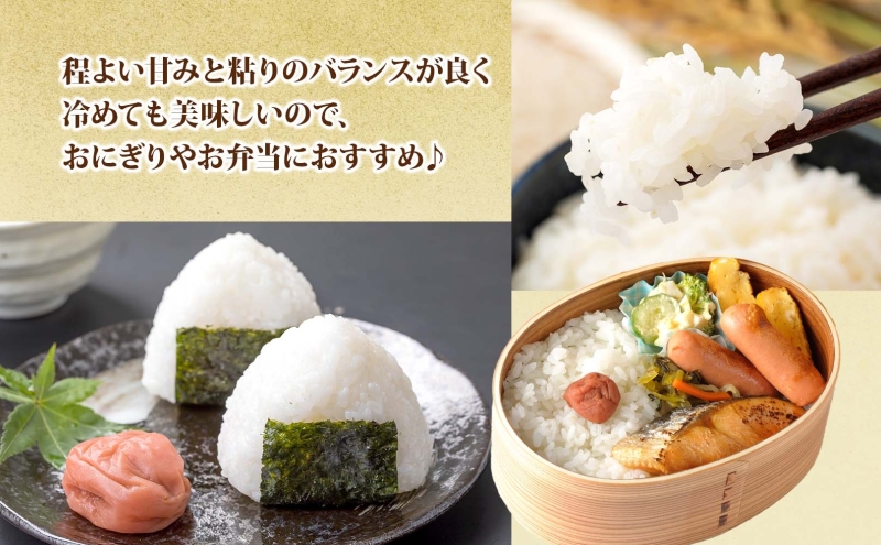 北海道 R7年産 北海道産 ゆめぴりか 10kg 精米 米 白米 ごはん お米 新米 特A 獲得 ライス 北海道米 ブランド米 道産 ご飯 お取り寄せ 甘み もちもち 粘り 食味ランキング 新しのつ米 令和7年産 常温 国産 産地直送 自家用 ギフト 送料無料