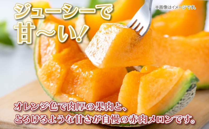 北海道 新しのつ産 赤肉メロン 2玉 約4kg メロン 果物 フルーツ 旬 季節 希少 甘い 豊潤 国産 デザート ご褒美 ギフト お祝い 贈答品 贈り物 産地直送 JA新しのつ 送料無料 新篠津