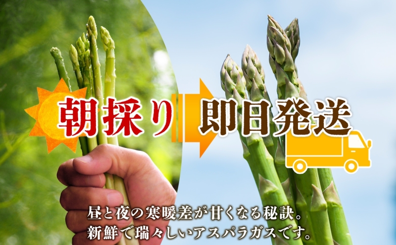 北海道 新しのつ産 夏採れ グリーン アスパラガス 1kg M-L サイズ混合 旬 アスパラ 野菜 農作物 朝採れ 新鮮 国産 甘い 人気 お取り寄せ 専用箱 JA新しのつ 送料無料