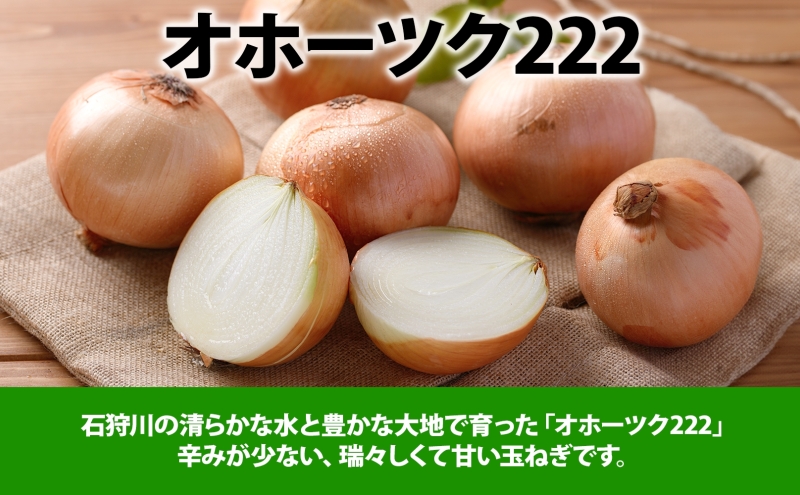 北海道 新しのつ産 手塚さんちのたまねぎ M～Lサイズ 約5kg オホーツク222 玉ねぎ 玉葱 タマネギ オニオン スライス 旬 農作物 野菜 サラダ みずみずしい シャキシャキ 甘い 北海道産 産直 長期保存 送料無料