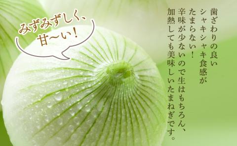 北海道 新しのつ産 玉ねぎ M-L サイズ混合 約10kg オホーツク222 葱 たまねぎ タマネギ オニオン 旬 甘い 農作物 野菜 国産 生食 サラダ かき揚げ 長期保存 送料無料