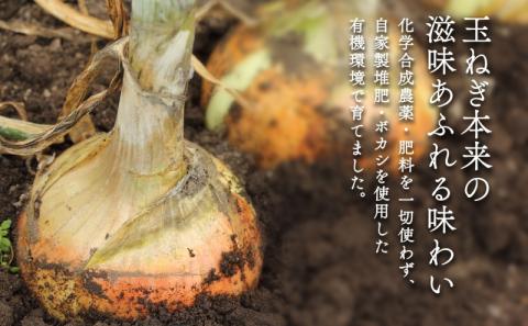 北海道 新しのつ産 有機栽培 玉ねぎ M-L サイズ混合 約10kg 玉葱 タマネギ オーガニック 有機野菜 有機JAS 旬 農作物 国産 カレー 肉じゃが つちから農場 送料無料