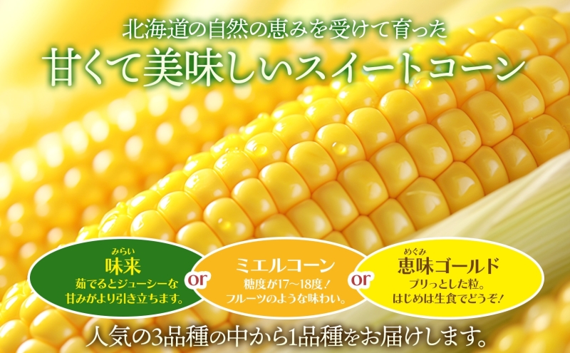 北海道 新しのつ産 とうもろこし 黄色 2L 8本 トウモロコシ とうきび イエロー コーン 旬 野菜 甘い お取り寄せ 国産 農作物 人気 BBQ JA新しのつ 送料無料 新篠津村