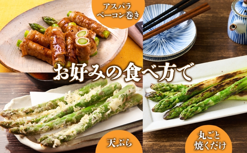 北海道 新しのつ産 夏採れ グリーン アスパラガス 1kg M-L サイズ混合 旬 アスパラ 野菜 農作物 朝採れ 新鮮 国産 甘い 人気 お取り寄せ 専用箱 JA新しのつ 送料無料