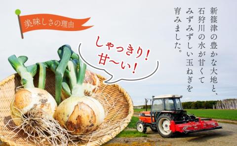 北海道 新しのつ産 玉ねぎ M-L サイズ混合 約10kg オホーツク222 葱 たまねぎ タマネギ オニオン 旬 甘い 農作物 野菜 国産 生食 サラダ かき揚げ 長期保存 送料無料