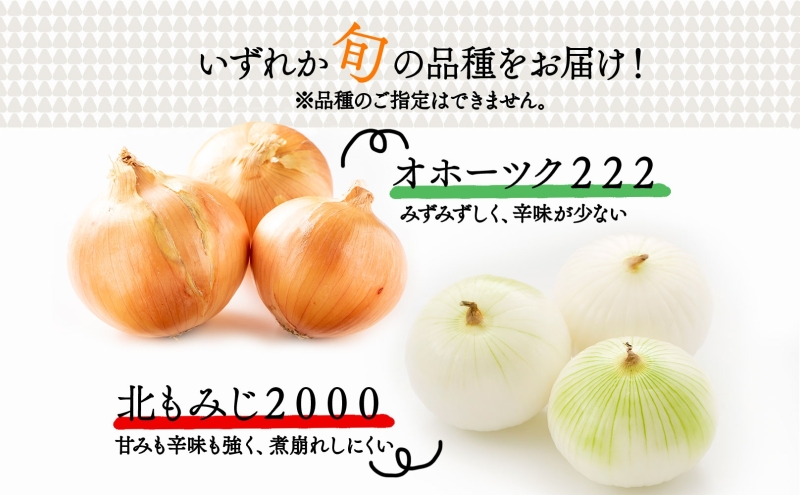 北海道 新しのつ産 玉ねぎ Lサイズ 約20kg オホーツク222 北も