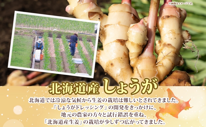 生姜 ジンジャードレッシング 220ｇ×4本 しょうが ショウガ 