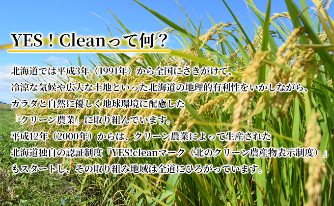 北海道 イエスクリーン米 令和7年産 ななつぼし 10kg 精米 米 白米 お米 新米 ごはん ご飯 ライス 道産米 ブランド米 新しのつ米 ふっくら 食味ランキング  産地直送 カワサキ森田屋 送料無料
