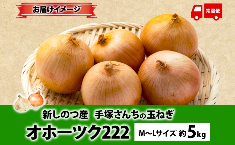 北海道 新しのつ産 手塚さんちのたまねぎ M～Lサイズ 約5kg オホーツク222 玉ねぎ 玉葱 タマネギ オニオン スライス 旬 農作物 野菜 サラダ みずみずしい シャキシャキ 甘い 北海道産 産直 長期保存 送料無料