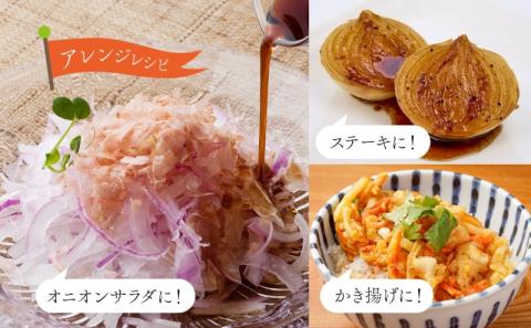 北海道 新しのつ産 玉ねぎ M-L サイズ混合 約10kg オホーツク222 葱 たまねぎ タマネギ オニオン 旬 甘い 農作物 野菜 国産 生食 サラダ かき揚げ 長期保存 送料無料