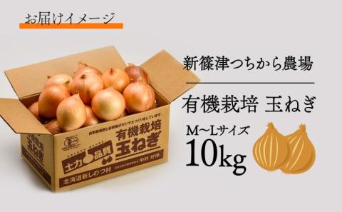 北海道 新しのつ産 有機栽培 玉ねぎ M-L サイズ混合 約10kg 玉葱 タマネギ オーガニック 有機野菜 有機JAS 旬 農作物 国産 カレー 肉じゃが つちから農場 送料無料