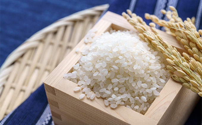 北海道 イエスクリーン米 令和7年産 ななつぼし 10kg 精米 米 白米 お米 新米 ごはん ご飯 ライス 道産米 ブランド米 新しのつ米 ふっくら 食味ランキング  産地直送 カワサキ森田屋 送料無料