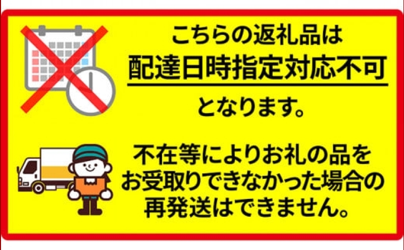 北海道 新しのつ産 とうもろこし 黄色 2L 8本 トウモロコシ とうきび イエロー コーン 旬 野菜 甘い お取り寄せ 国産 農作物 人気 BBQ JA新しのつ 送料無料 新篠津村
