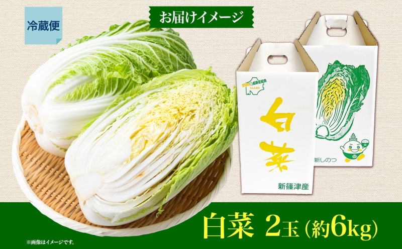 新しのつ産 白菜 2玉 約6kg はくさい ハクサイ 旬 国産 新鮮 北海道産 甘い シャキシャキ 漬物 冬料理 鍋 キムチ サラダ 産地直送 お取り寄せ 北海道 新篠津村