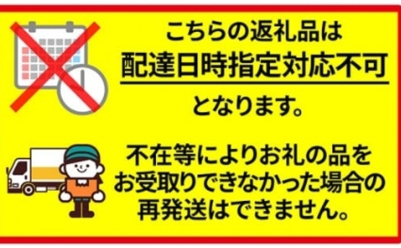 北海道 新しのつ産 ブロッコリー 20玉 グリーン野菜 旬 野菜 甘い お取り寄せ 国産 農作物 JA新しのつ 送料無料 新篠津村