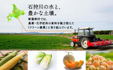 北海道 新しのつ産 玉ねぎ Lサイズ 約5kg オホーツク222 北もみじ2000 玉葱 たまねぎ タマネギ オニオン 旬 農作物 野菜 サラダ カレー 肉じゃが 長期保存 送料無料