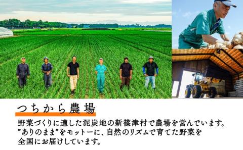 北海道 新しのつ産 有機栽培 玉ねぎ M-L サイズ混合 約10kg 玉葱 タマネギ オーガニック 有機野菜 有機JAS 旬 農作物 国産 カレー 肉じゃが つちから農場 送料無料