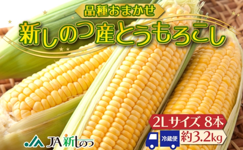 北海道 新しのつ産 とうもろこし 黄色 2L 8本 トウモロコシ とうきび イエロー コーン 旬 野菜 甘い お取り寄せ 国産 農作物 人気 BBQ JA新しのつ 送料無料 新篠津村