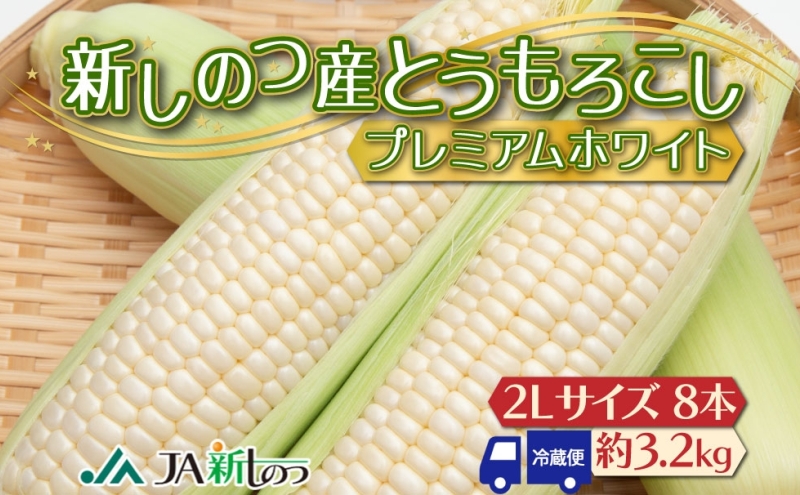 北海道 新しのつ産 とうもろこし プレミアムホワイト 2L 8本 白 トウモロコシ とうきび コーン 旬 野菜 甘い お取り寄せ 国産 人気 BBQ JA新しのつ 送料無料 新篠津