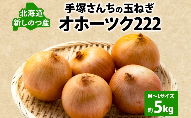 北海道 新しのつ産 手塚さんちのたまねぎ M～Lサイズ 約5kg オホーツク222 玉ねぎ 玉葱 タマネギ オニオン スライス 旬 農作物 野菜 サラダ みずみずしい シャキシャキ 甘い 北海道産 産直 長期保存 送料無料