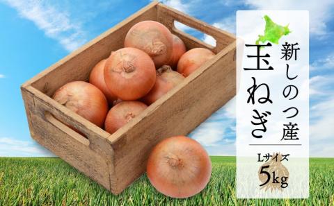 北海道 新しのつ産 玉ねぎ Lサイズ 約5kg オホーツク222 北もみじ2000 玉葱 たまねぎ タマネギ オニオン 旬 農作物 野菜 サラダ カレー 肉じゃが 長期保存 送料無料