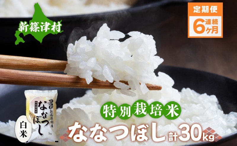定期便 6ヵ月 北海道 特別栽培 令和7年産 ななつぼし 5kg 精米 米 白米 お米 新米 ごはん ご飯 ライス 道産米 ブランド米 新しのつ米 ふっくら 食味ランキング  産地直送 カワサキ森田屋 お取り寄せ  送料無料