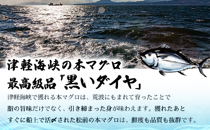 天然本マグロ中トロ＆赤身二種盛りMATB006